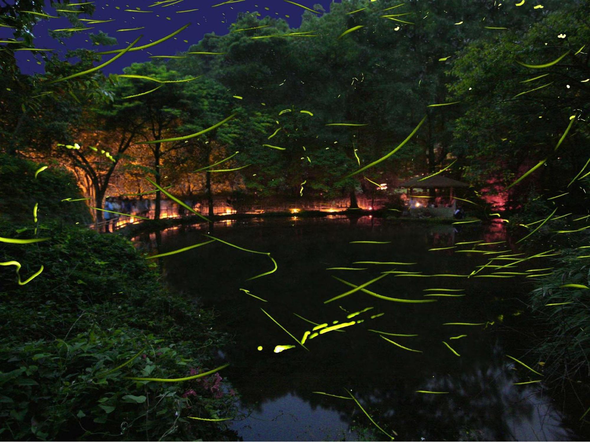 Hotel Izu Katase Onsen Ayumitei Fukumatsuso Higashiizu Exterior foto